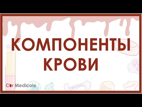 Видео: Компоненты крови - из чего состоит кровь? Эритроциты, лейкоциты, плазма и др