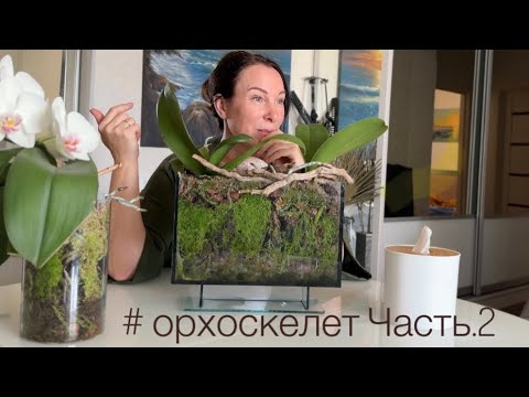 Видео: СБОЙ в аквариуме с двумя орхидеями