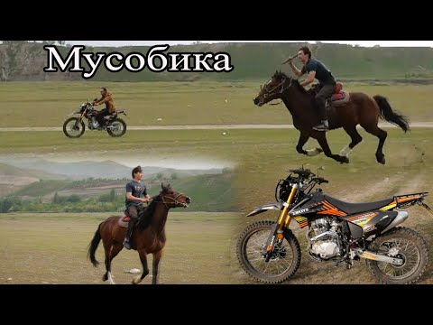 Видео: Мусобика байни асп ва мототсикл. "Ракетаи Ёри" UMED VIDEO TAJIKISTAN ZARAFSHON