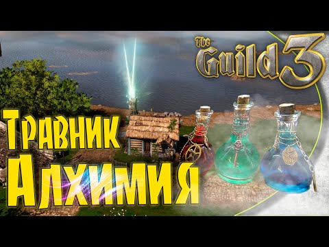 Видео: The Guild 3 - #4 Секрет старта за травника