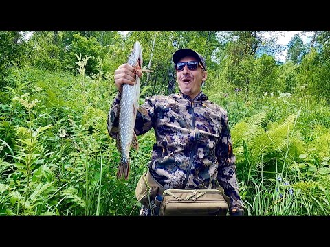 Видео: Отдых, рыбалка, залив Барсугаш - Красноярское водохранилище (перезалил, исправил звук)
