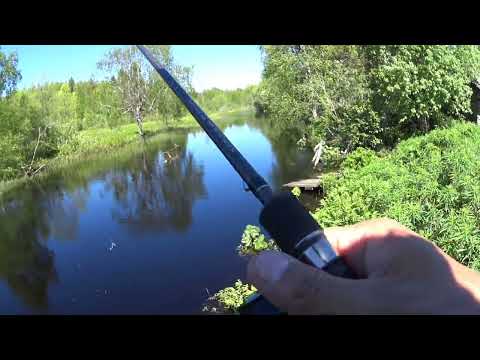 Видео: Где-то в Вологодской области.Разведка на реке.