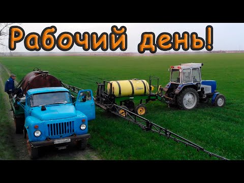 Видео: Рабочий день! Подкармливаем озимую пшеницу ЮМЗ-8280