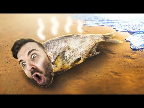 Видео: ЮДЖИН - СУХАЯ РЫБА