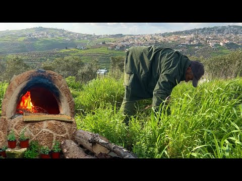 Видео: 120 минут жизни в палестинской деревне, свежий урожай и вкусные рецепты
