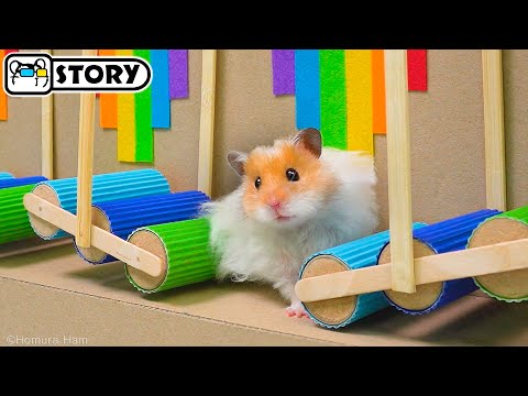 Видео: Лучшие Испытания для Хомяка - Хомяк сбегает из Самых Удивительных Лабиринтов 🐹 Хомура Хам Питомцы