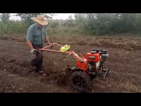 Видео: Мотоблок. Уборка картошки