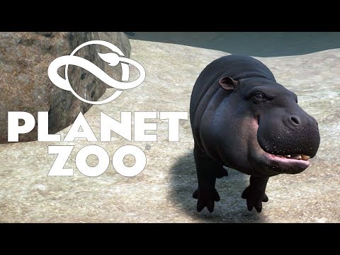 Видео: КАРЛИКОВЫЙ БЕГЕМОТ #22 PLANET ZOO ПРОХОЖДЕНИЕ