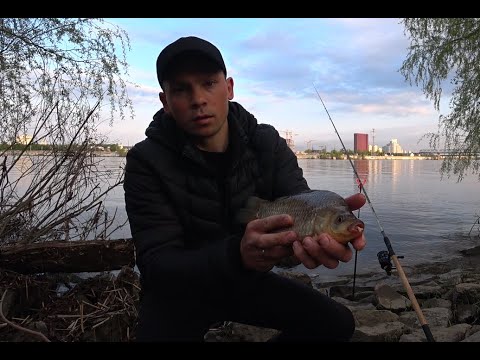 Видео: Фидерная рыбалка на Днепре в Киеве 2022! Ловля фидером в Мае!Рыбалка Киев 2022.