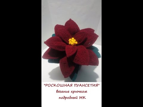 Видео: "РОСКОШНАЯ ПУАНСЕТИЯ" вязание крючком
