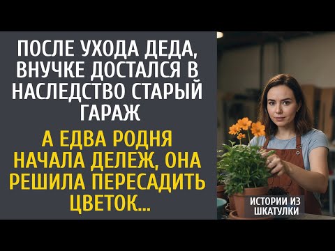 Видео: После ухода деда, внучке достался в наследство старый гараж… А едва она решила пересадить цветок…