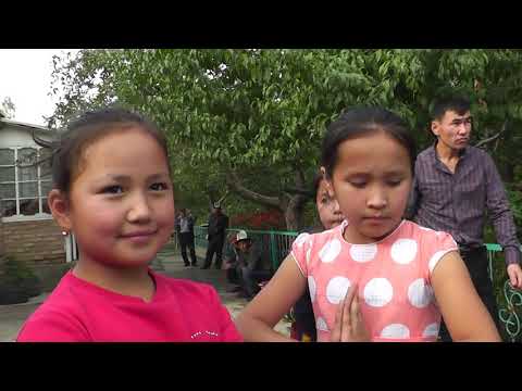 Видео: Бата той