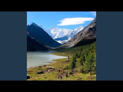 Видео: Домбырасыз сән қайда