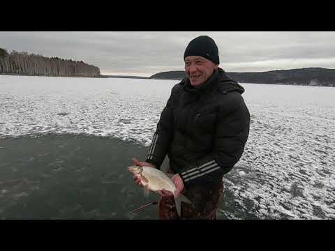 Видео: Угольный. Курминский залив. Рыбалка на леща. 23 ноября 2021