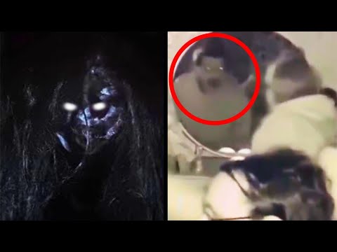 Видео: Страшные Видео и Страшилки от Которых Вы Побледнеете