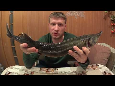 Видео: Шашлык из осетрины.
