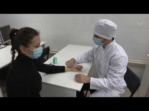Видео: Исследование пульса