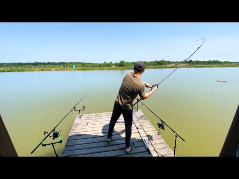 Видео: Село Муравище. Коропова Риболовля. Нова водойма для комфортного відпочинку. 4K