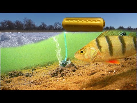 Видео: ЧТО, ЕСЛИ УСТАНОВИТЬ воздушный Компрессор в Глухозимье? Реакция рыбы на Фарш из Мойвы!