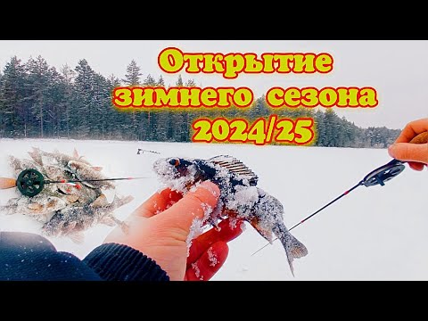 Видео: ОТКРЫТИЕ ЗИМНЕГО СЕЗОНА 2024/25 В ДЕКАБРЕ.ЛОВИМ КОПЧЕНЫХ ОКУНЕЙ НА ЛЕСНОМ ОЗЕРЕ.ПЕРВЫИ ЛЕД