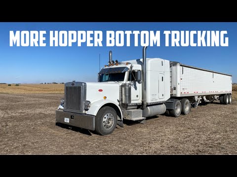 Видео: Ещё больше грузоперевозок с бункером-накопителем и коза (владелец-оператор грузоперевозок)