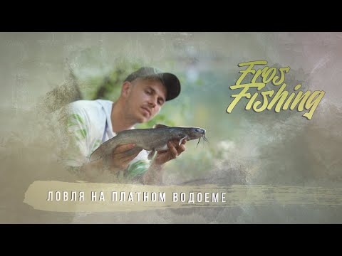 Видео: Fros Fishing / Рыбалка с Фросом / Секреты фидерной ловли в условиях платного водоема
