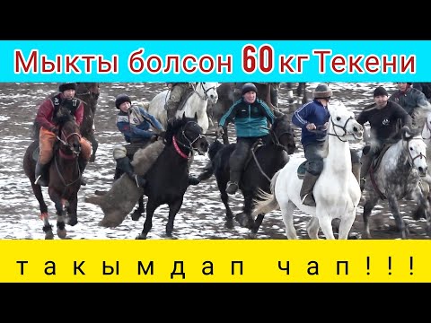 Видео: Улак тартыш 💥💥💥