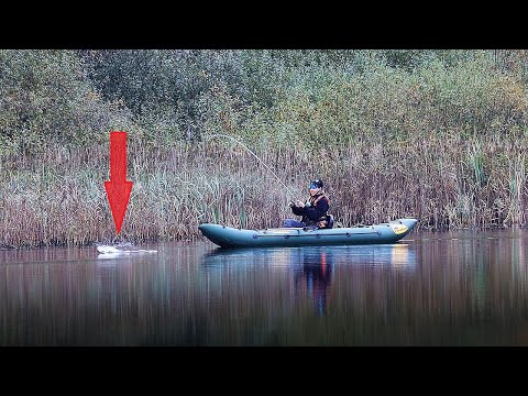Видео: РЫБАЛКА на ФишКАЯКЕ | Ловля щуки на спиннинг | Клюёт - Мама не горюй! #206