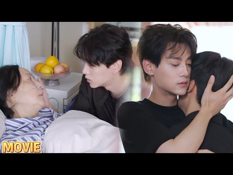 Видео: Ссора? Нет! Один надутый рот Дабао — и Чи Чэн сразу смягчился, они снова вместе!🔥