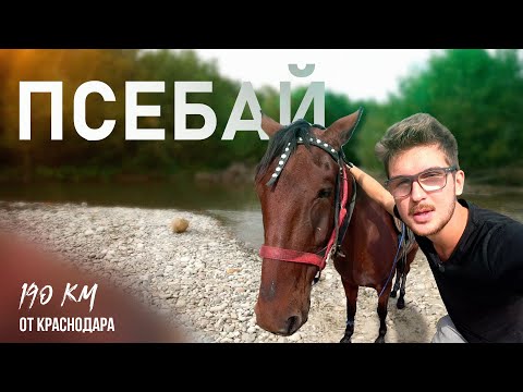 Видео: Где отдохнуть в Псебае | «Больше чем отдых»