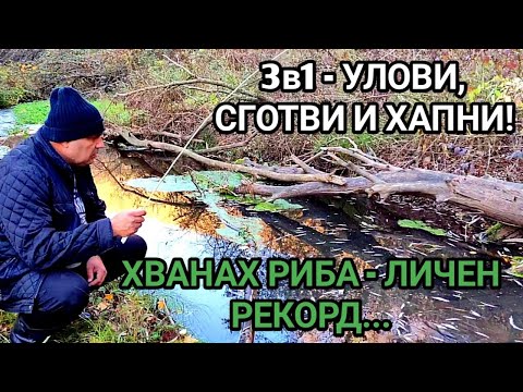 Видео: ВЪЛНУВАЩ РЕЧЕН РИБОЛОВ И НЕВЕРОЯТНИ ГЛЕДКИ! УЛОВИ, СГОТВИ И ПРЯСНА ДИВА РИБА СИ ХАПНИ! ЛИЧЕН РЕКОРД!