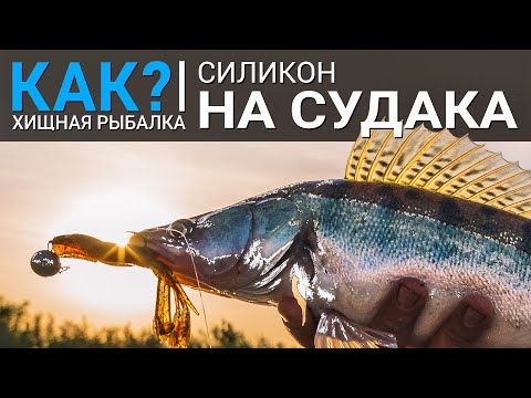 Видео: Как собрать коробку силиконовых приманок на судака?