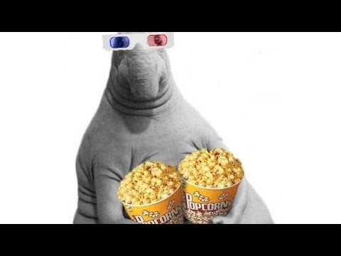 Видео: Леший 2: и очередные проблемы!