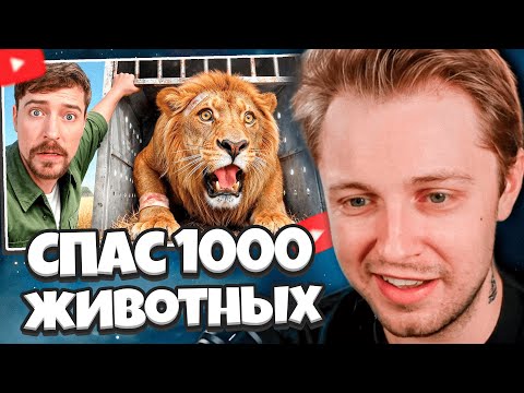Видео: СТИНТ СМОТРИТ: Я Спас 1000 Животных От Гибели // MrBeast