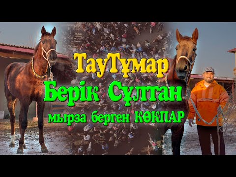 Видео: БЕРІК СҰЛТАН МЫРЗАНЫҢ ҚАЗЫҒЫНА БІТКЕН ТАУТҰМАРДЫҢ КӨКПАРЫ ШЫМКЕНТ ҚАЛАСЫ ОРТАЛЫҚ ИППОДРОМ 2024ЖЫЛ