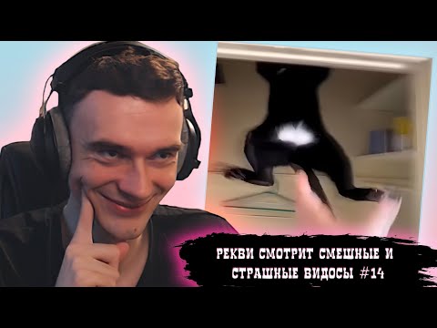 Видео: Рекви смотрит смешные и страшные видосы #14