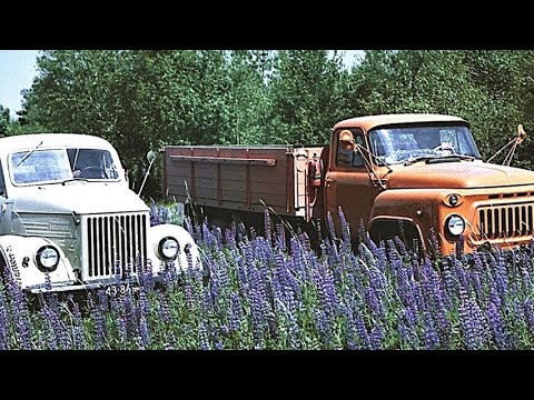 Видео: НЕВЕРОЯТНЫЙ РАСХОД ТОПЛИВАу  САМЫХ массовых грузовиков СССР ЗИЛ 130 ГАЗ 53 ГАЗ 51