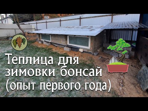 Видео: СуперТеплица для зимовки бонсай в Подмосковье - опыт первого года @Studio.Bonsai