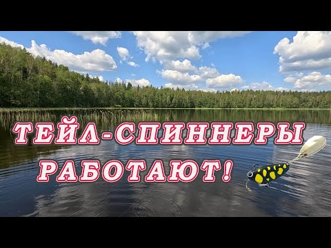 Видео: Красивое Лесное озеро!  Щука тут не Видела тейл-спиннеров!  Тёмные цвета Hurricane и BULLET !!!