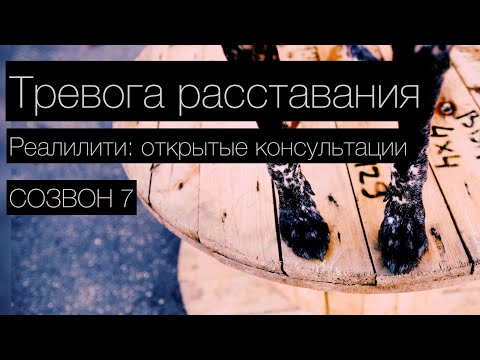 Видео: КЕННИ созвон 7