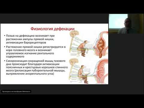 Видео: Функциональные запоры у детей. Хавкин А.И.