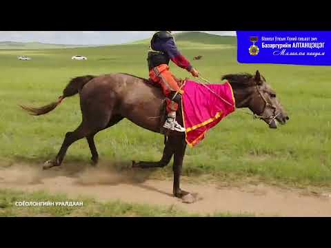 Видео: Монгол Улсын Хүний гавьяат эмч Б.Алтанцэцэгийн цолны мялаалга наадам - Дашбалбар сум