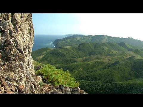 Видео: «Полуостров Шмидта»