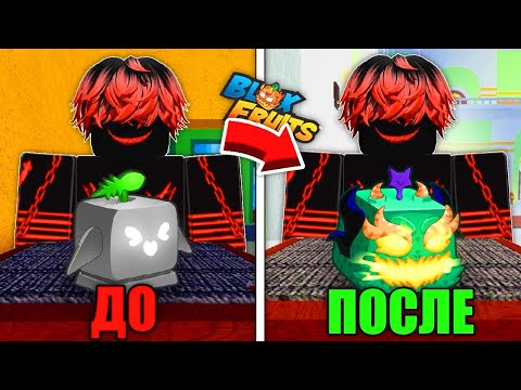 Видео: 🐲Путь с НУЛЯ до ДРАКОНА в Blox Fruits / Roblox Блокс Фрутс🍑