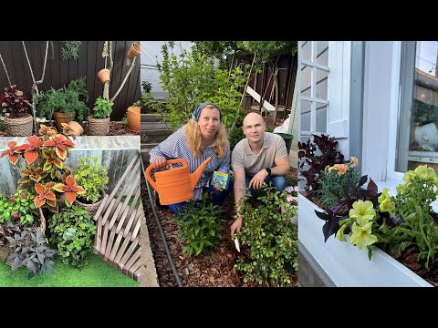 Видео: Дачные сезоны с Мариной Рыкалиной от 25 мая 2023 года