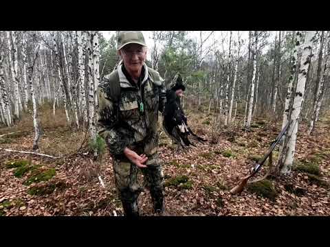 Видео: Добыл ТЕТЕРЕВА. Обед у костра. Поймал достойную ЩУКУ.