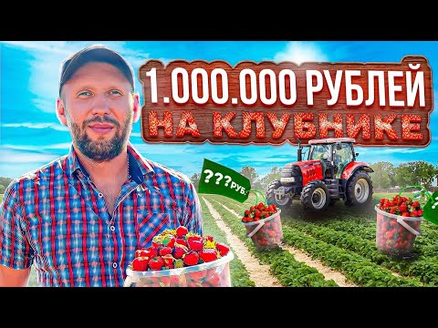 Видео: Сколько можно заработать на клубнике? / Бизнес с нуля на клубнике