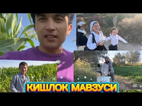 Видео: КИШЛОКДА НИМА ГАПЛАР 