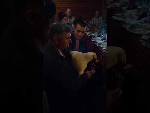 Видео: Станчо Гайда