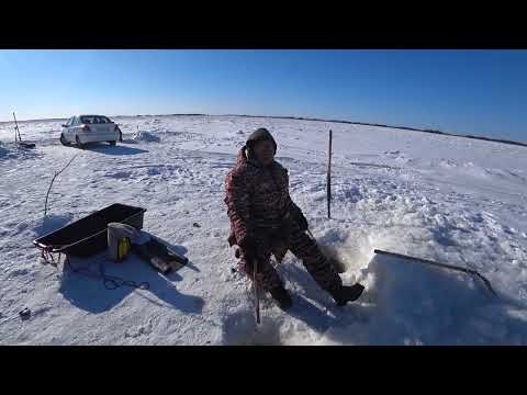 Видео: Жизнь в глубинке. Второй день выходной. Сходила к папе под пирс. Аборигенка. Жизнь в деревне.